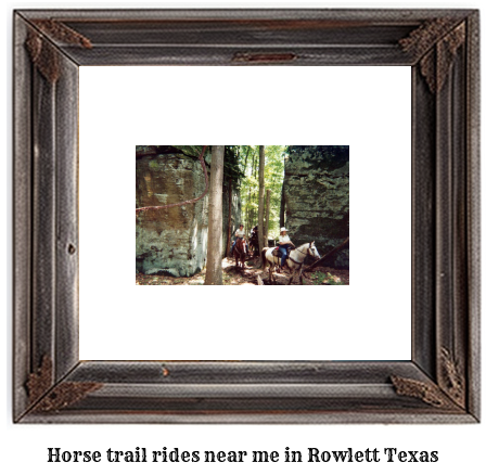 horse trail rides near me in Rowlett, Texas